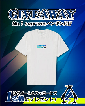 06/21 Supreme Penguin Agency Present Plan 